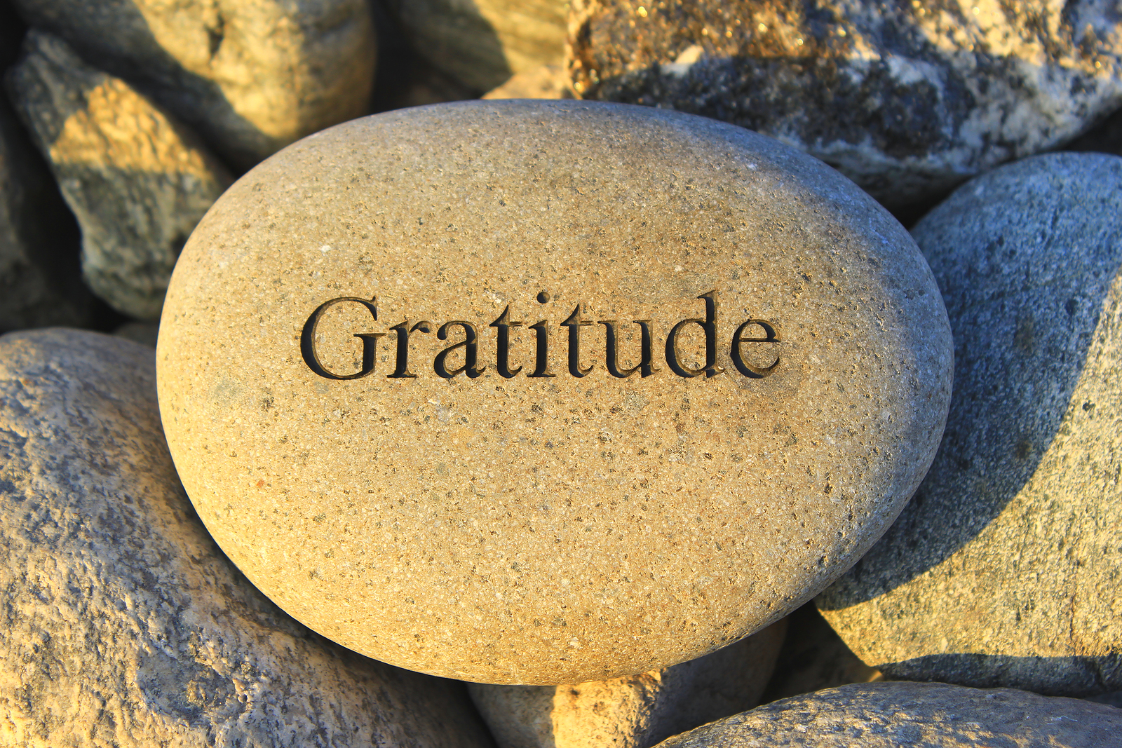 a rock with the word Gratitude carved into it.