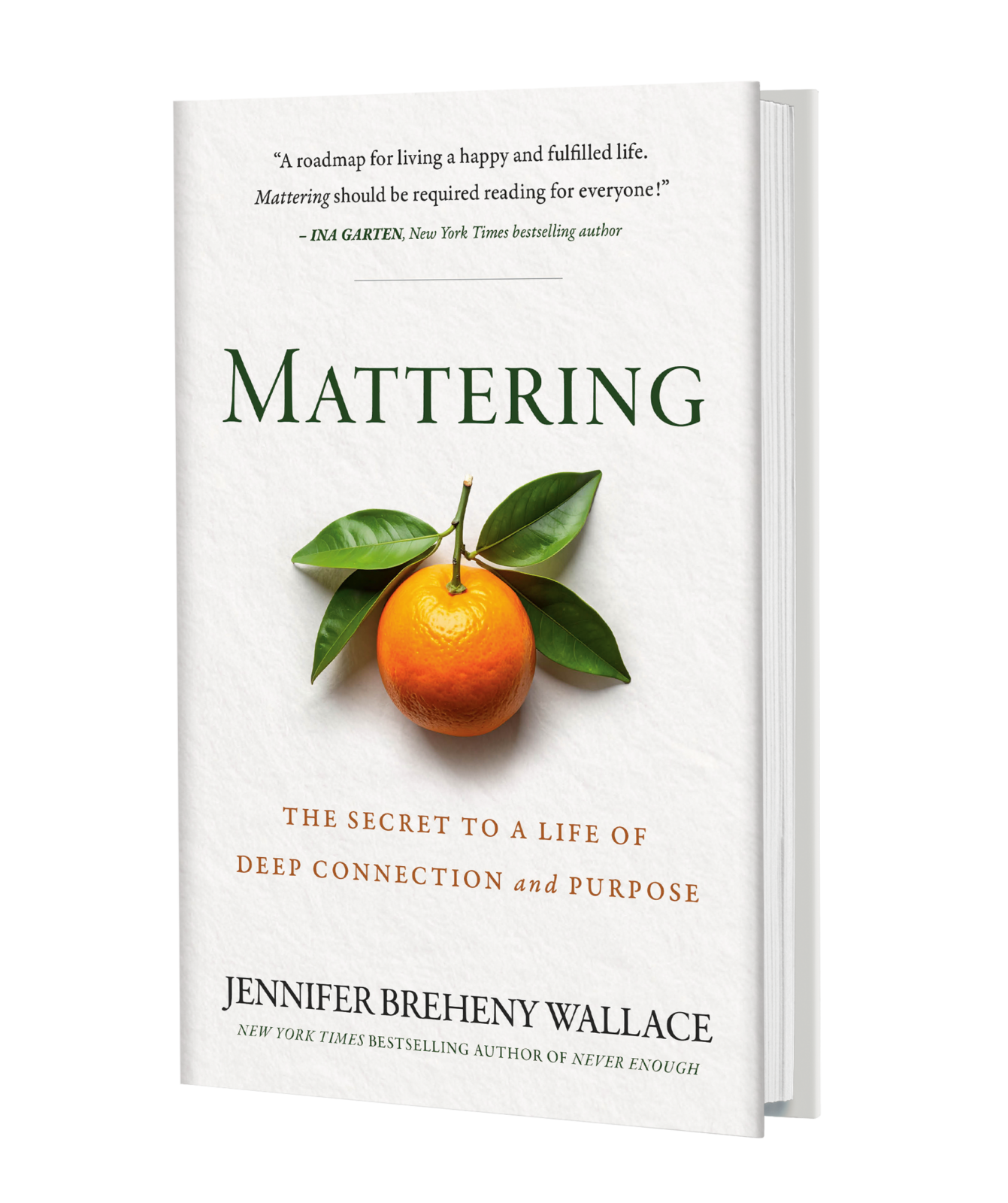 Mattering book cover